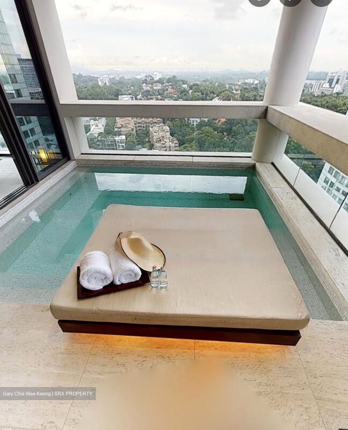 Hana (D10), Condominium #477290471